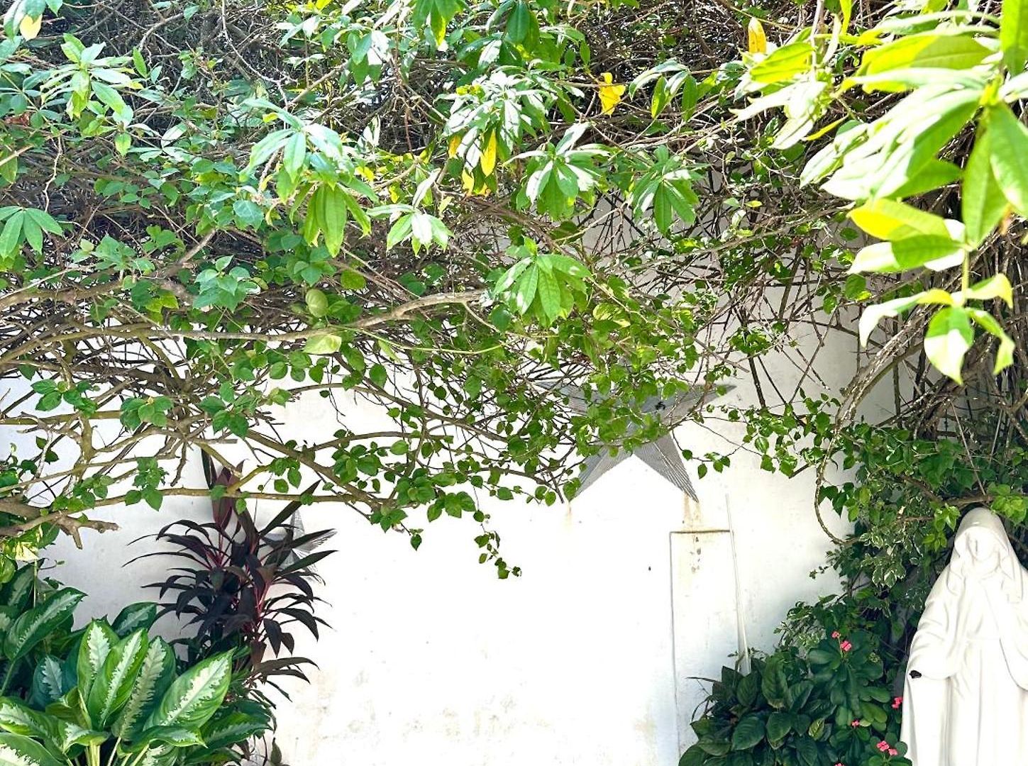 Casa Mar Pensión *