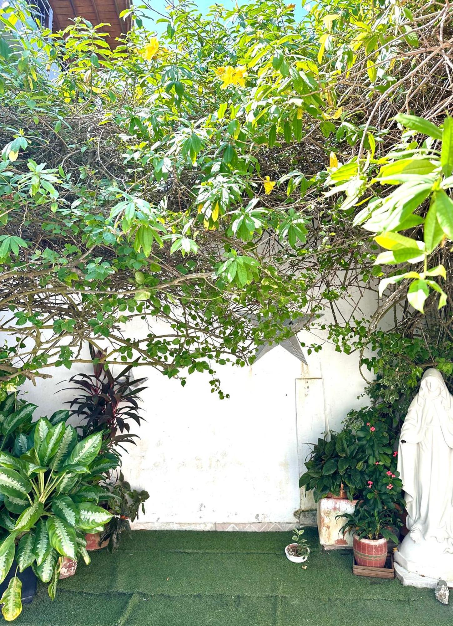 Casa Mar Guest house *